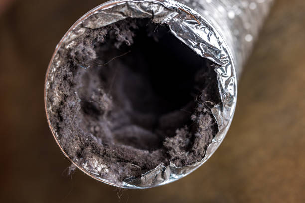 Best HVAC Air Duct Cleaning  in Yosemite Valley, CA